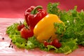 Vegetables - tomatoes, red and yellow paprika, lettuce, parsley Royalty Free Stock Photo